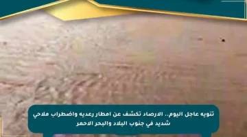 تنويه عاجل اليوم.. الأرصاد تكشف عن أمطار رعدية واضطراب ملاحي شديد في جنوب البلاد والبحر الأحمر